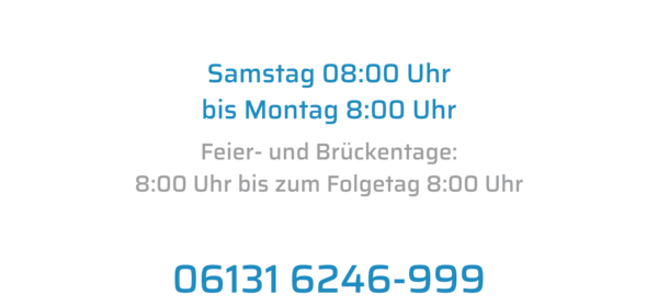 Eine Karte der Orte im Bereich Rheinhessen. Mainz, Bingen, Ingelheim, Alzey und Worms sind hervorgehoben.
